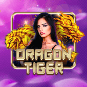 Dragon Tiger bingo plus website legit